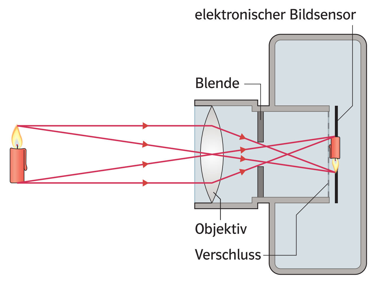 Klett Verlag - eWissen