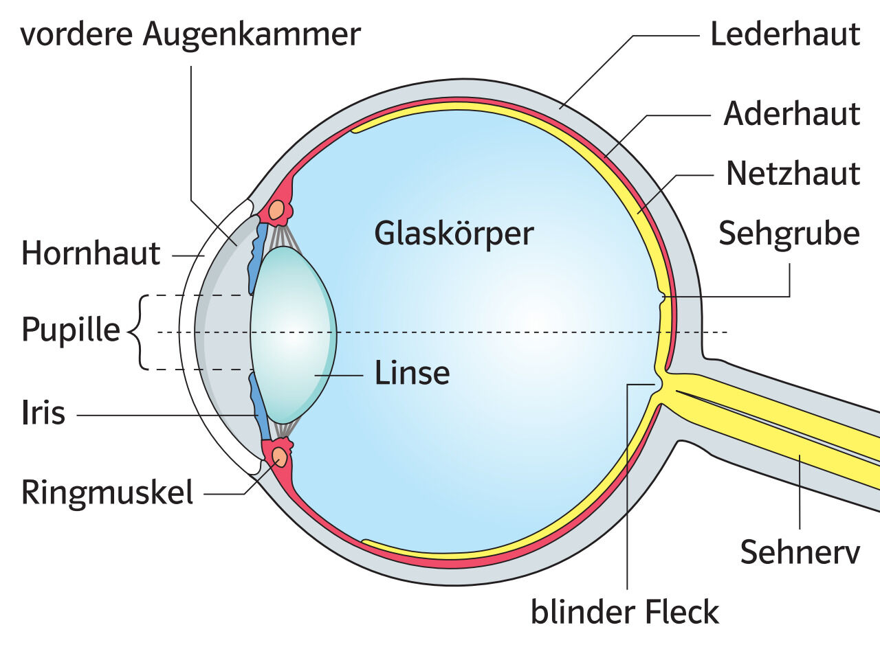 Klett Verlag - eWissen